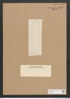 Diatomeae indet. Zeichnungen Sammlung Grunow Nr. 2590 (NHMW-BOT-W0369781)